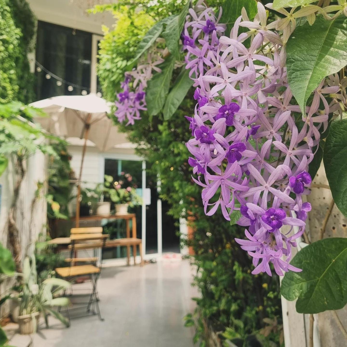 Home16 Sukhumvit16 Бангкок Экстерьер фото